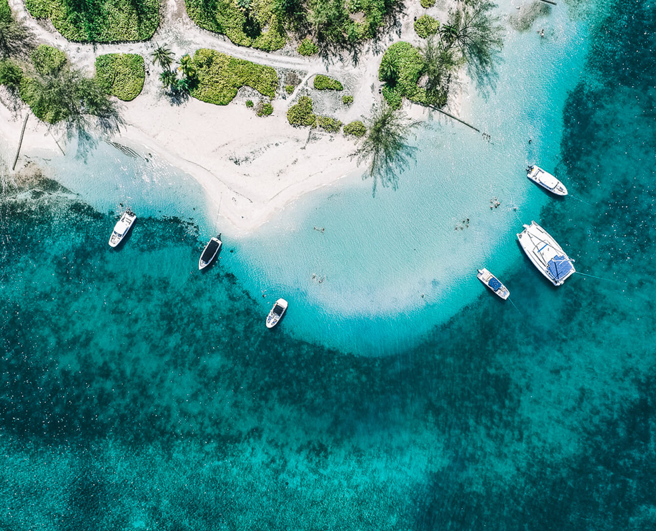 Aerial view of beach