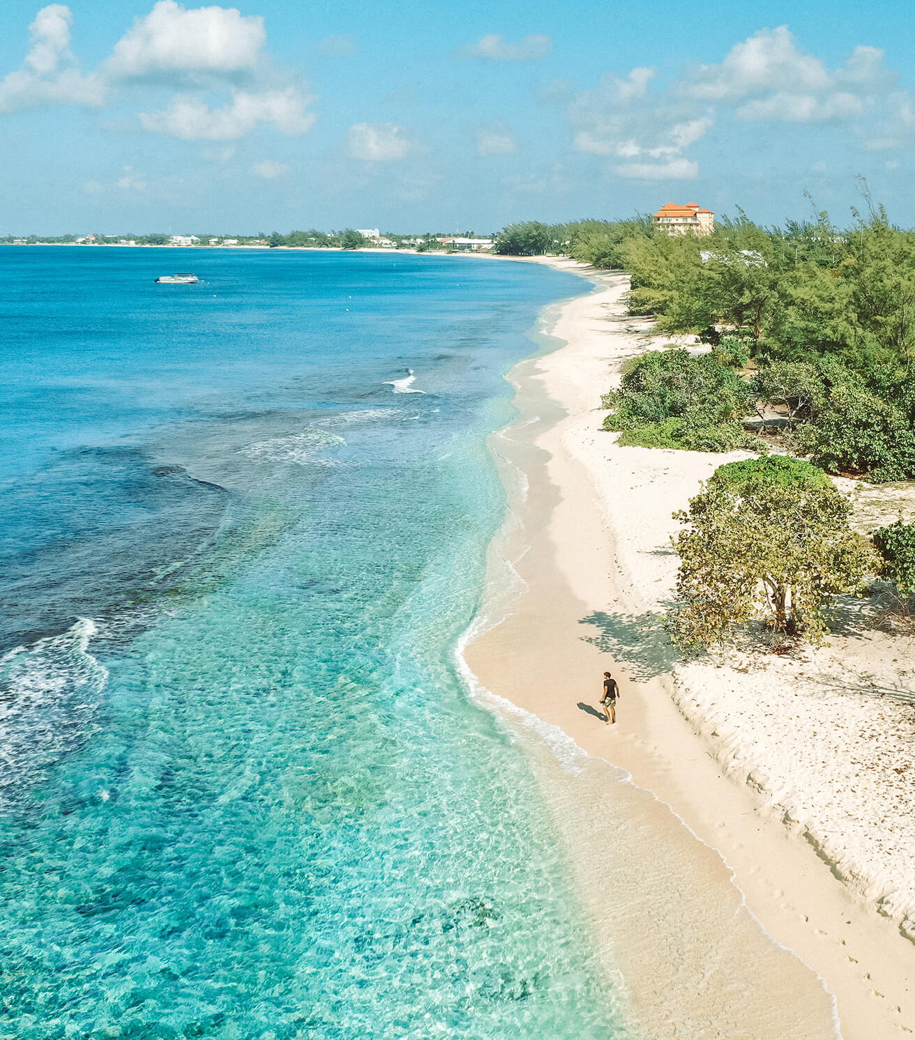 Aerial view of beach